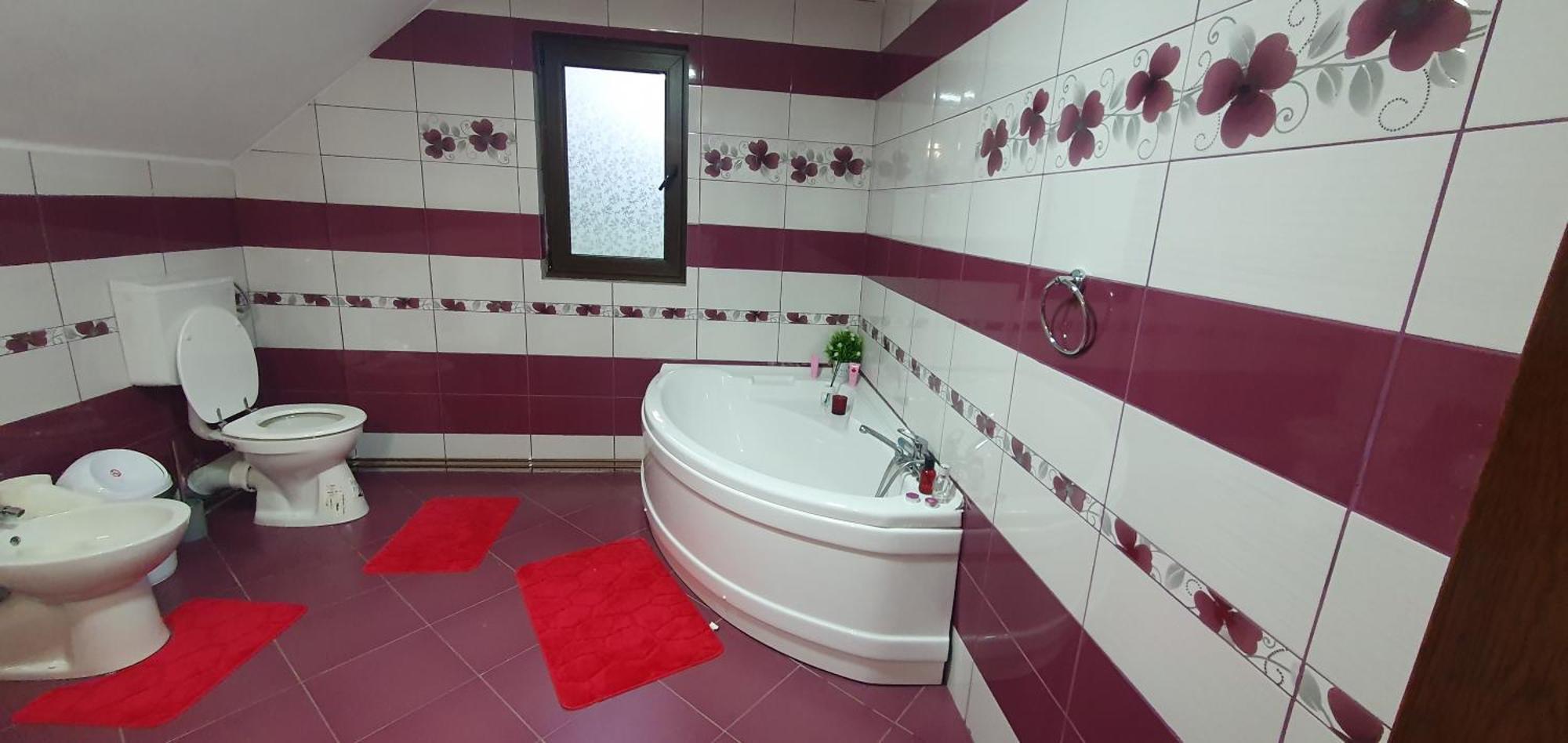 Casa Andrada Villa Horezu Ngoại thất bức ảnh